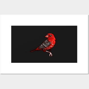 Strawberry Finch Posters and Art